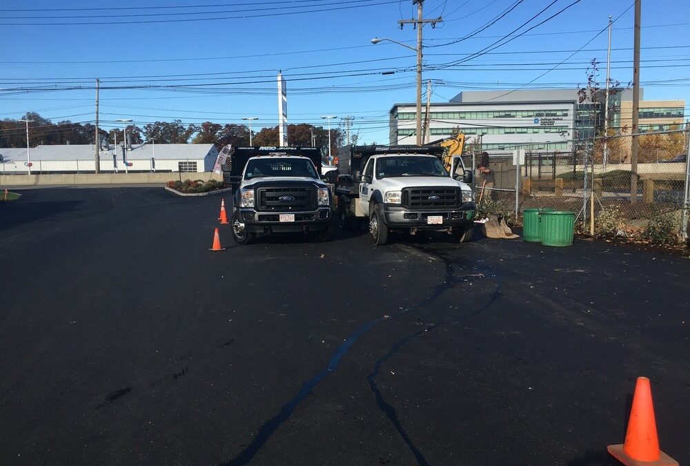 Dark & Dashing: Exploring Black Driveway Paving Options