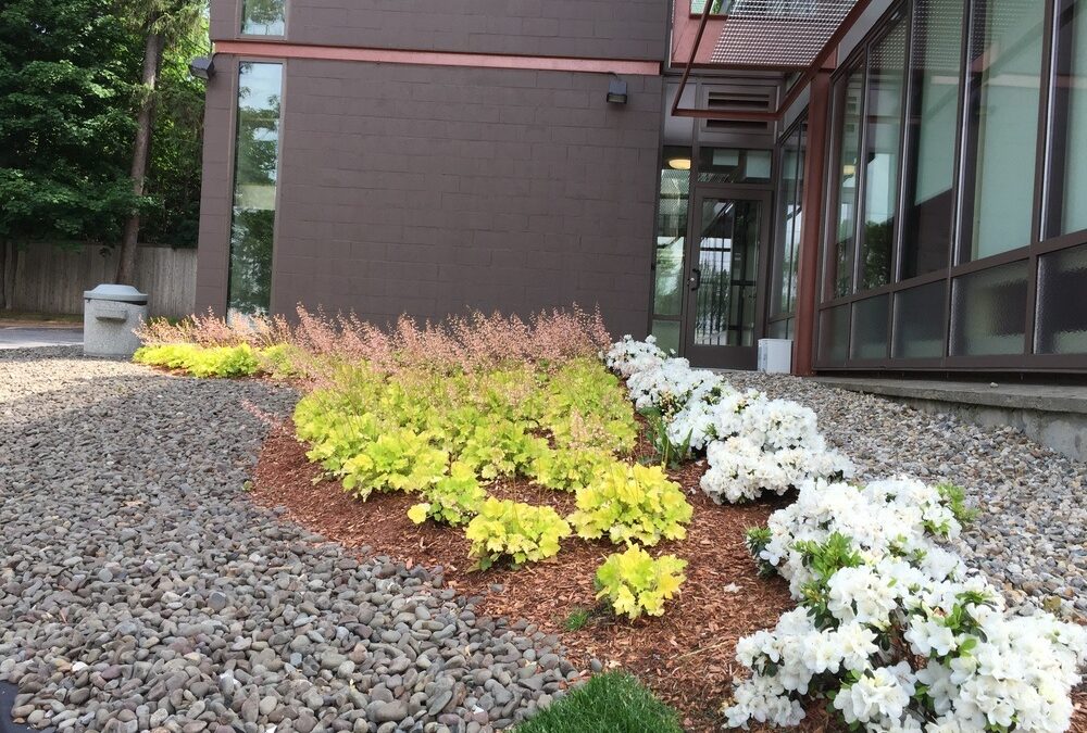 Everything You Need to Know About Commercial Landscapers in Walpole