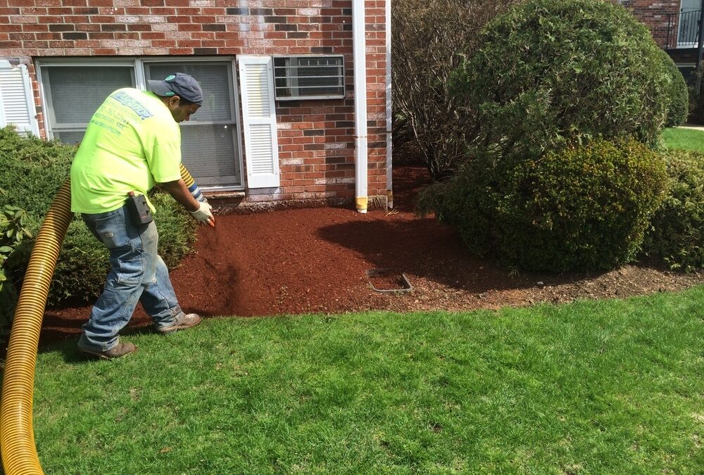 Commercial Care Landscape Professionals: What You Need to Know