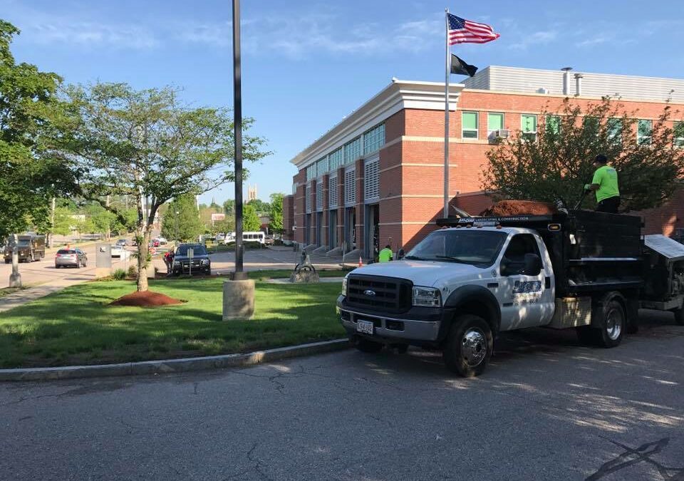 Smart Ways to Lower Your Commercial Grounds Maintenance Expenses