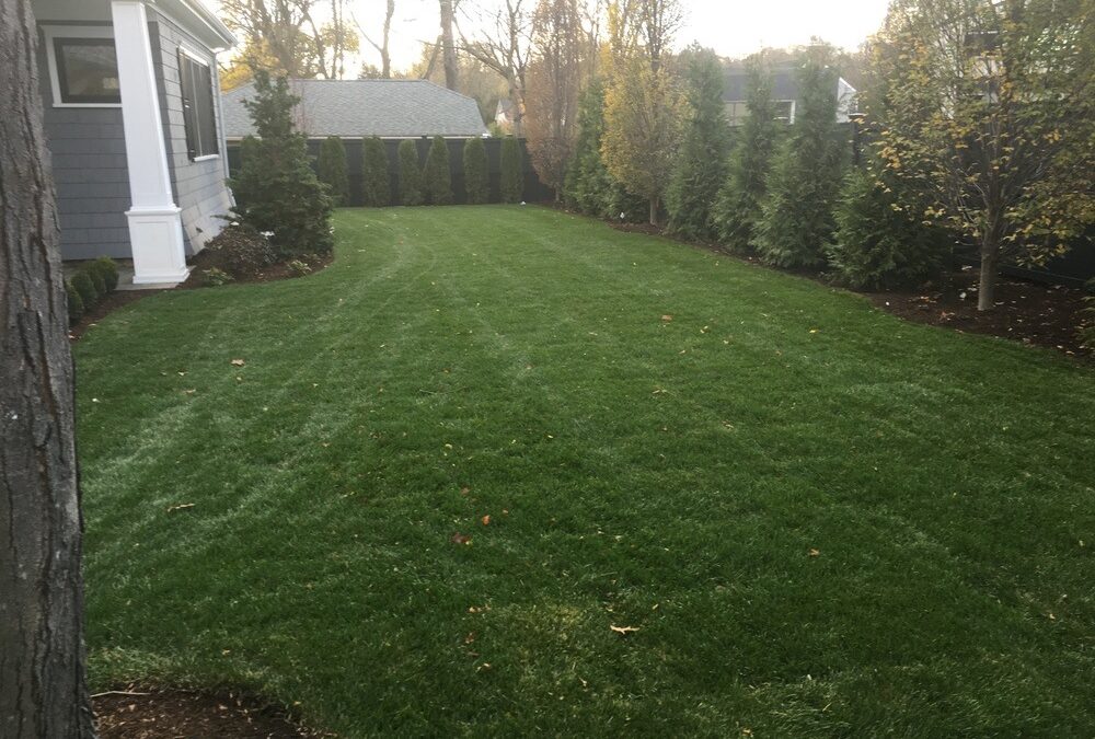 Breaking Down Yard Work: What Does It Really Involve?