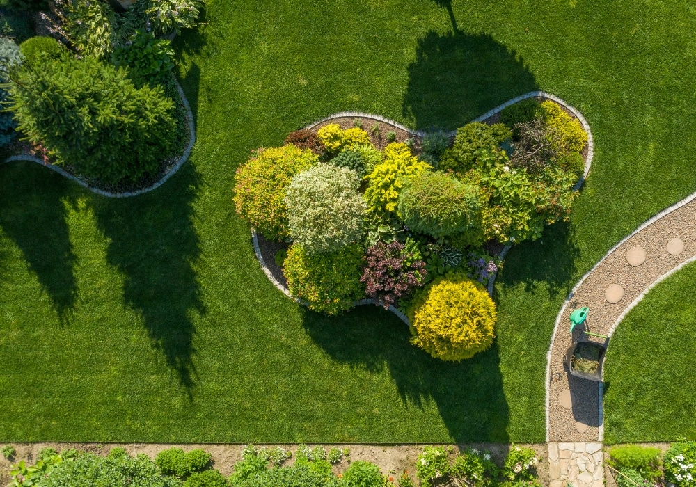 Budgeting for Beauty: The Real Cost of Hiring a Landscape Designer