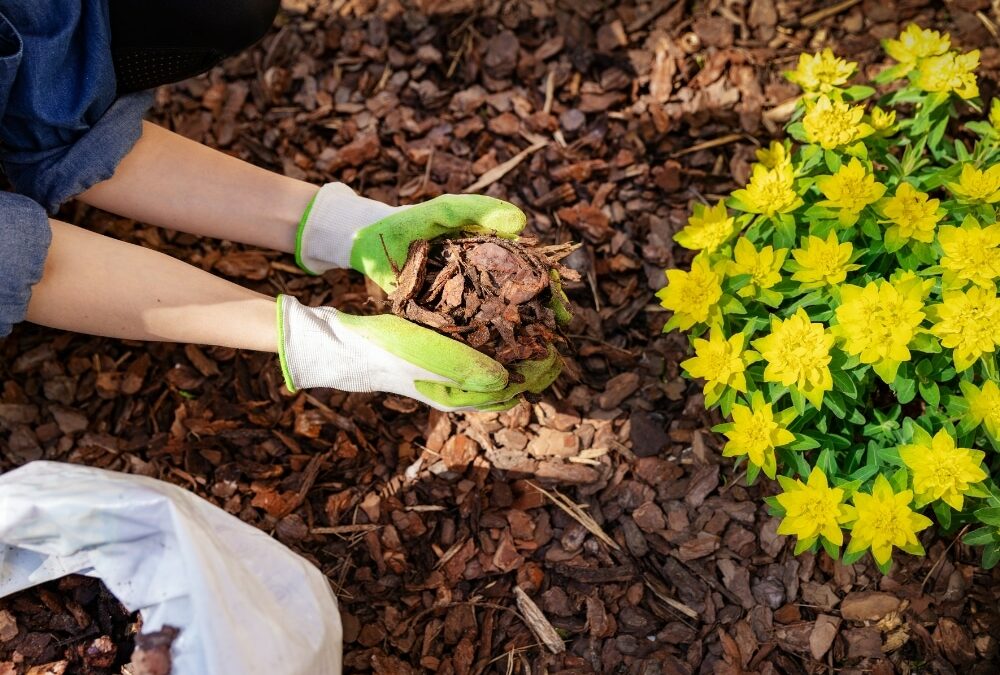 Mulch Installation Services: The Secret to a Beautiful Landscape