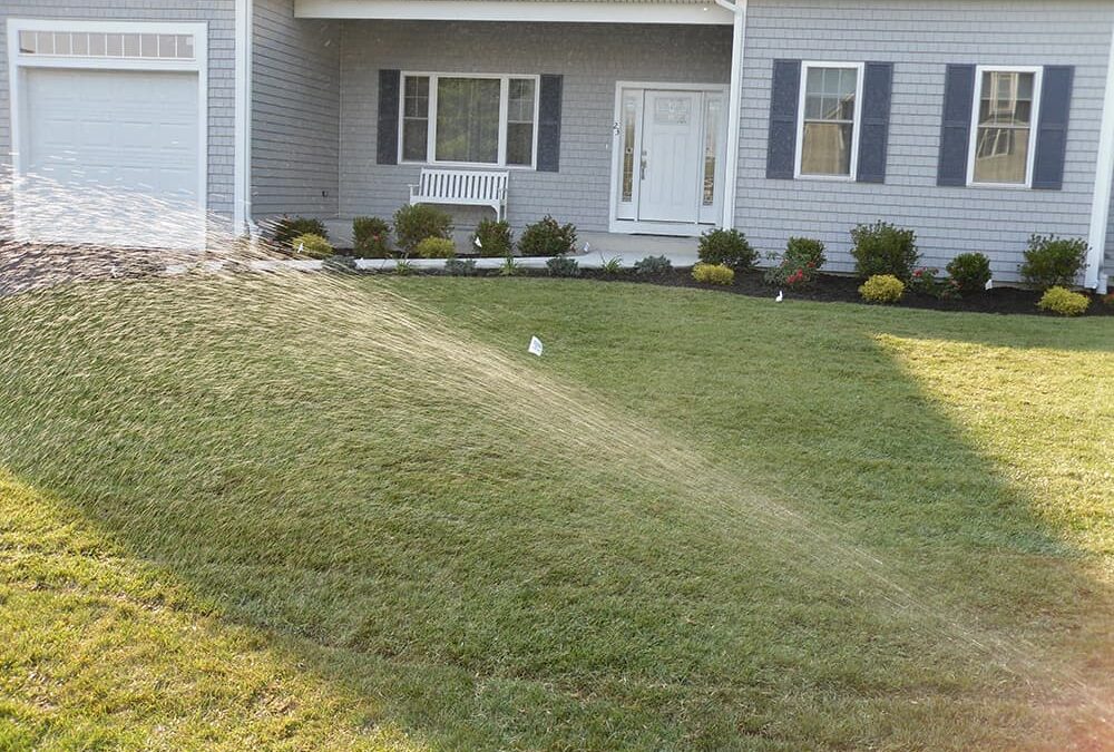 Sod Installation Services: Quick Lawn Transformation Solutions