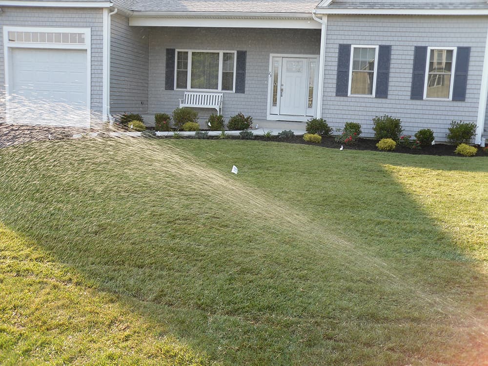 Sod Installation Services: Quick Lawn Transformation Solutions