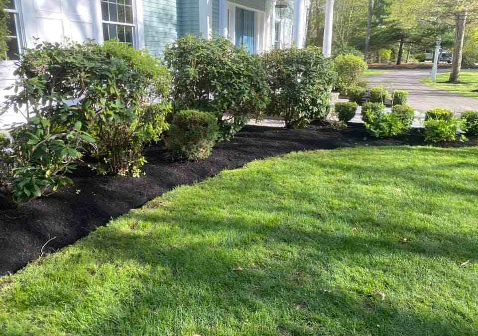 Expert Lawn Installation Services: Transform Your Outdoor Space