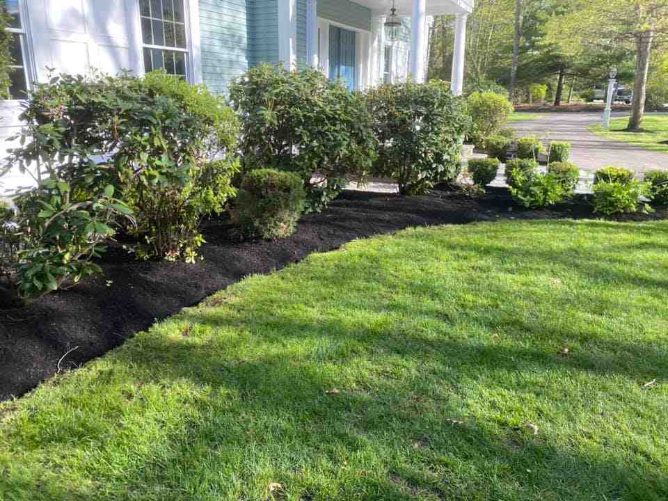 Expert Lawn Installation Services: Transform Your Outdoor Space