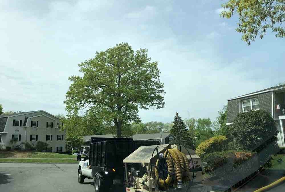 Expert Landscape Design and Build Services in Walpole, MA: Who to Hire