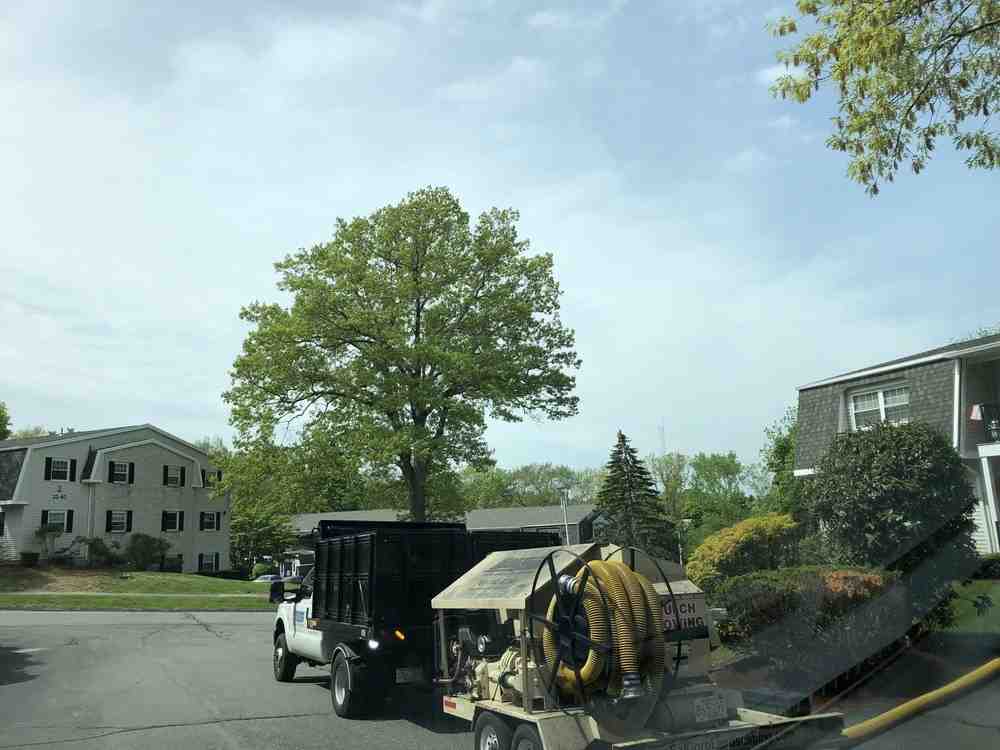 Expert Landscape Design and Build Services in Walpole, MA: Who to Hire