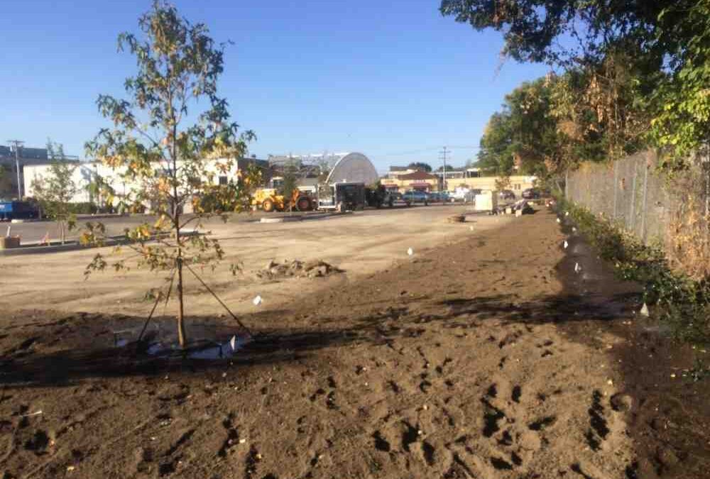 Top Tips for Choosing the Right Artificial Lawn Fitters Near You