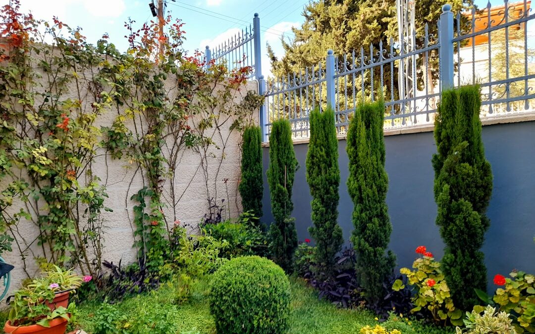 From Concept to Creation: Step-by-Step Landscaping Ideas