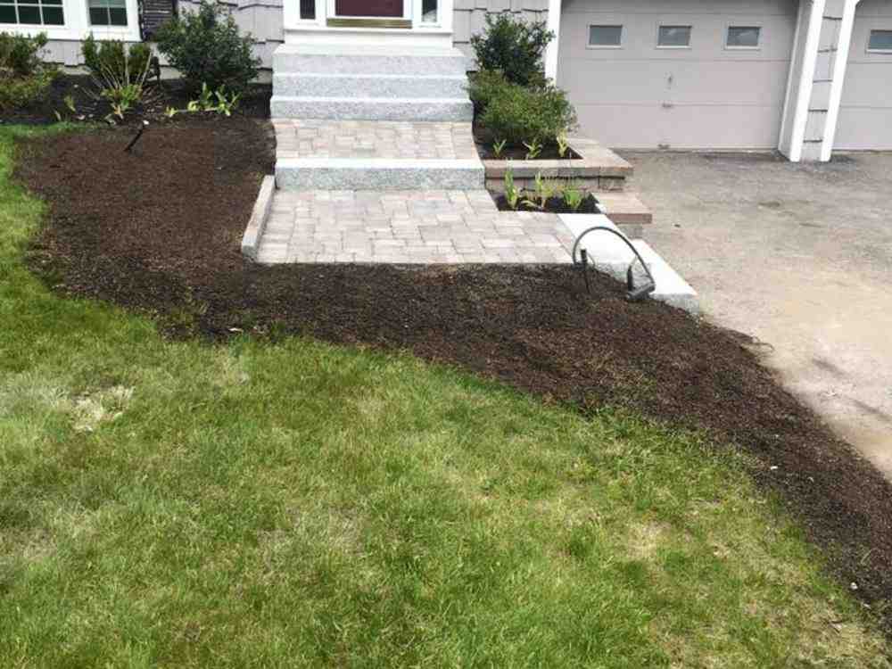 From Concept to Creation: Using Backyard Builder Tools