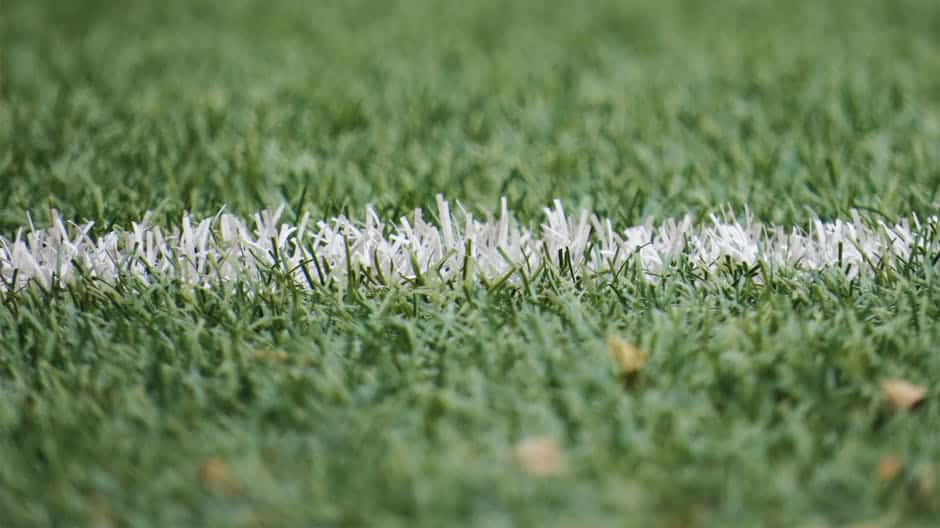 Top Fake Grass Companies Near You: A Detailed Guide