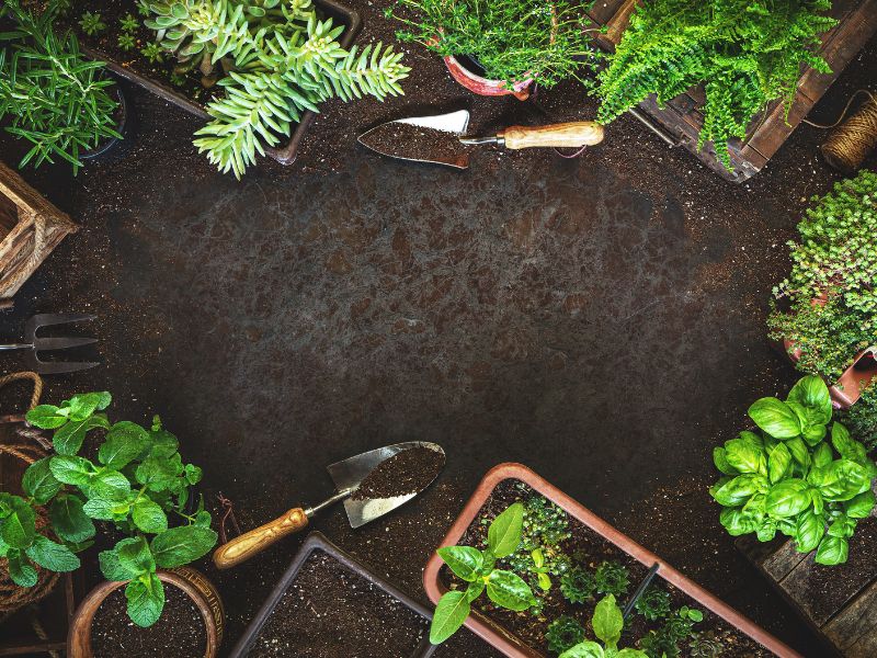 Green Dreams: Landscaping Solutions for Every Backyard