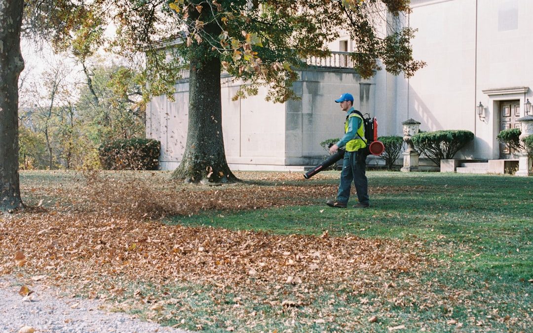 Seasonal Yard Rescue Squad – Best Spring and Fall Cleanup Services