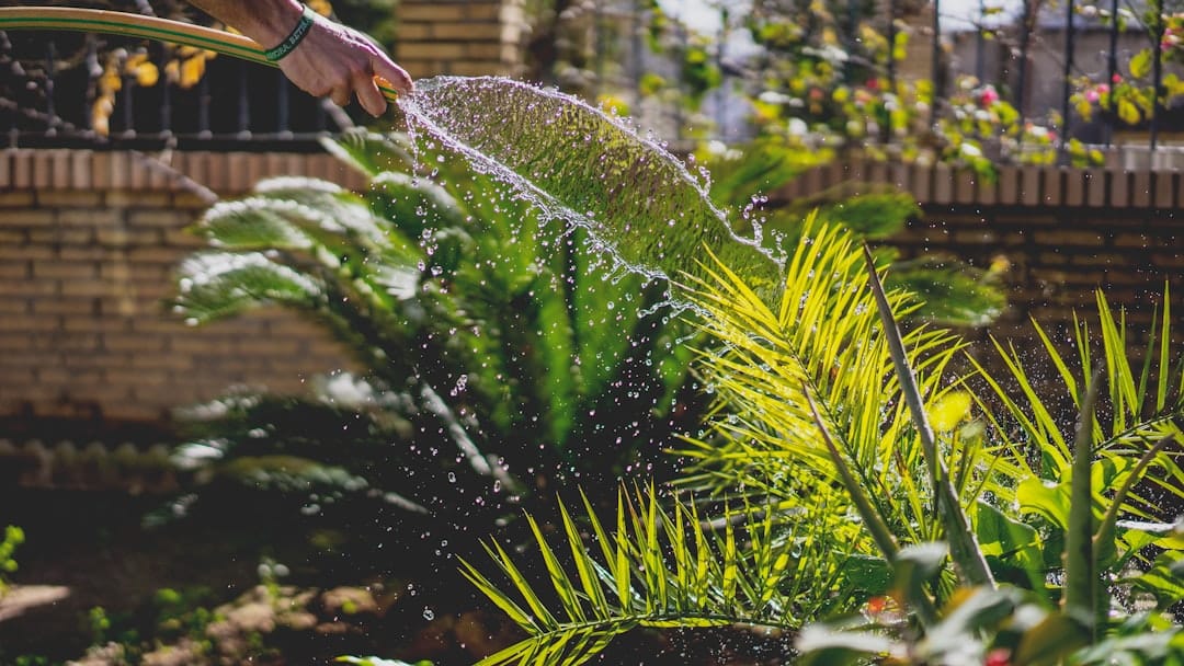 Keep Your Garden Glowing: A Simple Weekly Maintenance Schedule