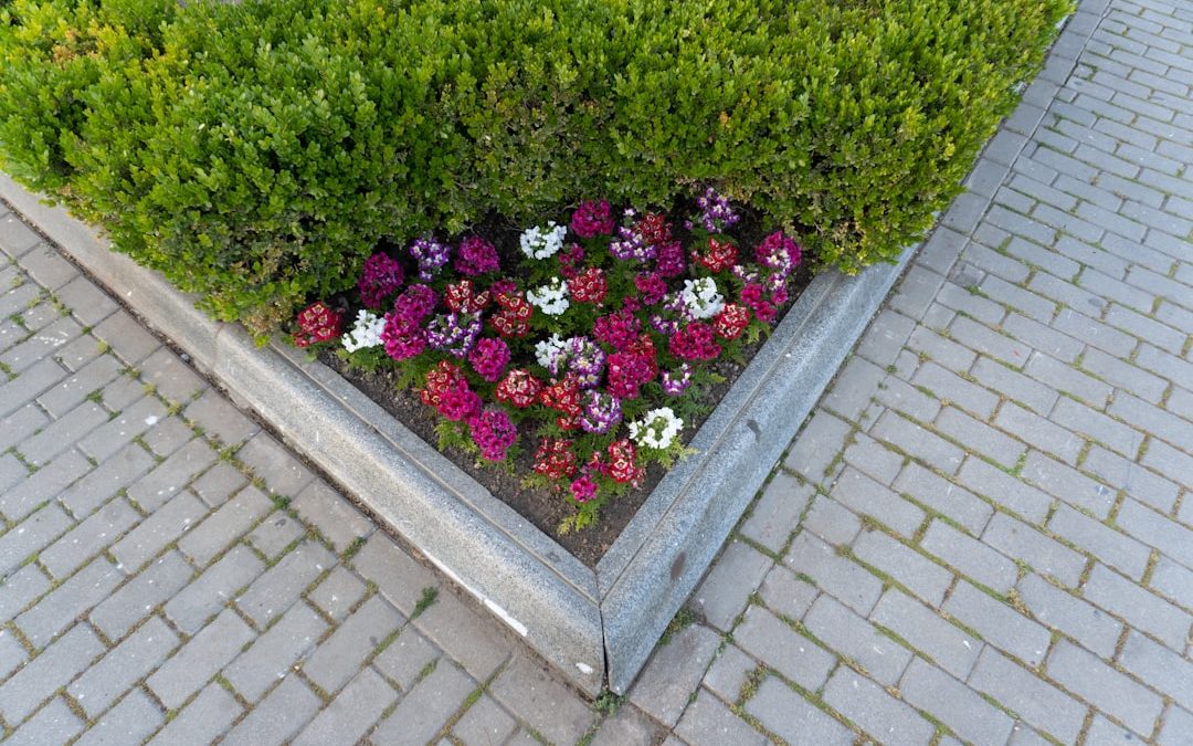 Petal Power: Transform Your Garden with Flower Bed Installation