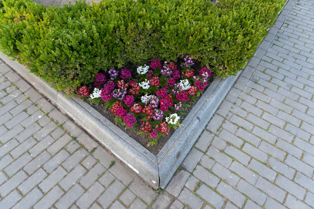 Petal Power: Transform Your Garden with Flower Bed Installation