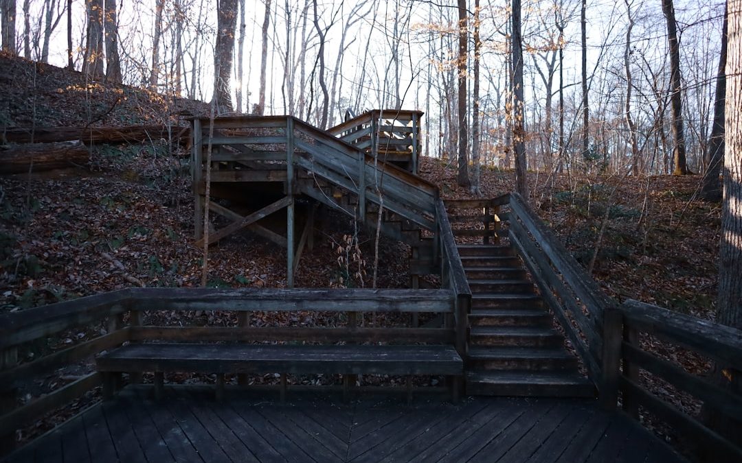 From Timber to Tread: Crafting Your Perfect Wood Landscape Steps