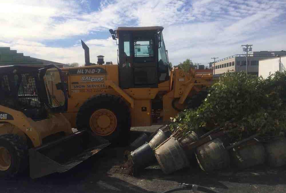 From Acre to Square Foot: What You’ll Pay for Commercial Landscaping