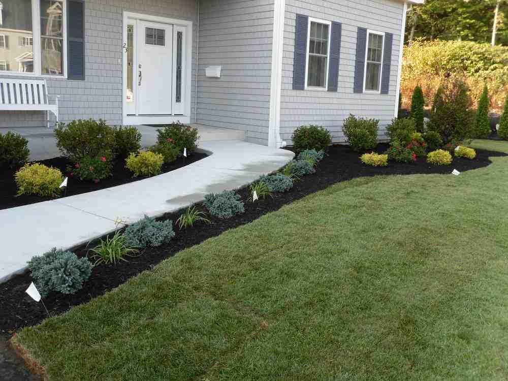 Green Thumbs Up: Hydroseeding Made Easy for Every Homeowner