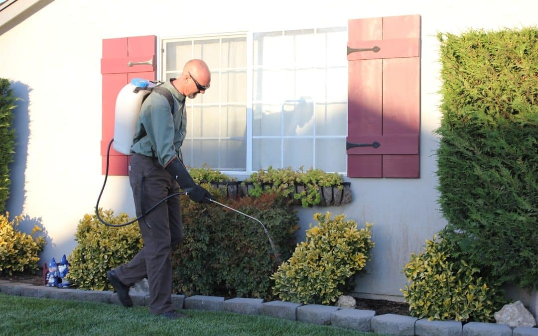 Mow Problem, No Problem: Finding the Best Handyman for Your Lawn