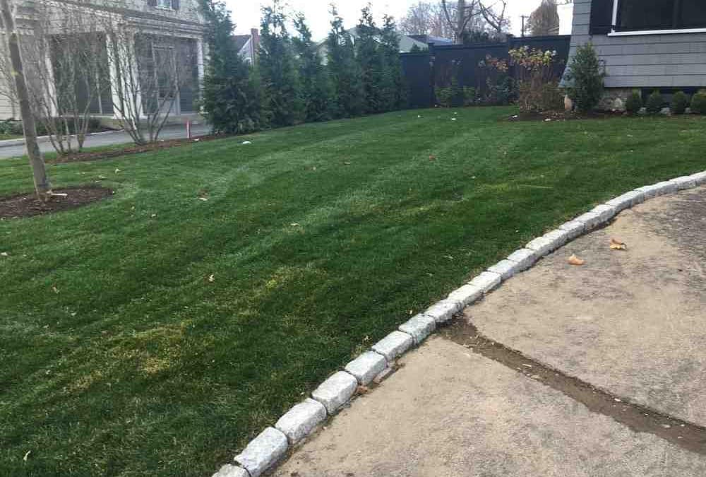 A – Z Guide to Sod Installation Cost