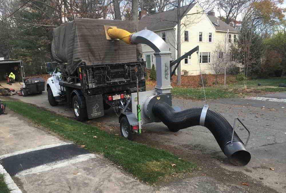 Ready for Spring? Find Top-Rated Yard Cleanup Pros in Your Area